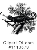 Chameleon Clipart #1113673 by Prawny Vintage