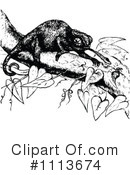 Chameleon Clipart #1113674 by Prawny Vintage