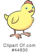 Chick Clipart #44830 by Lal Perera