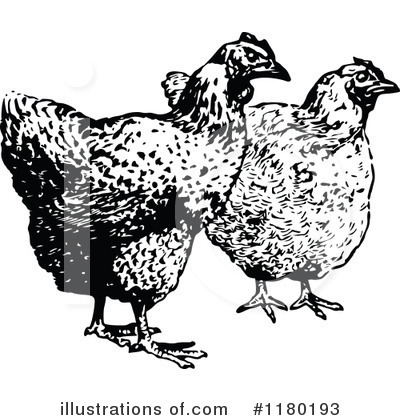 Royalty-Free (RF) Chicken Clipart Illustration by Prawny Vintage - Stock Sample #1180193