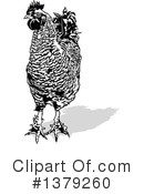 Chicken Clipart #1379260 by dero