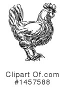 Chicken Clipart #1457588 by AtStockIllustration