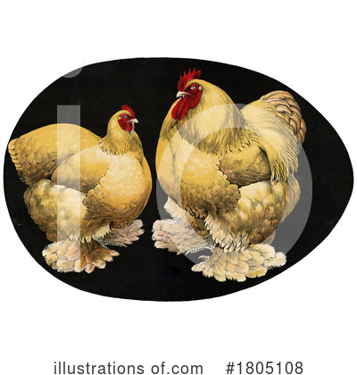 Royalty-Free (RF) Chicken Clipart Illustration by JVPD - Stock Sample #1805108