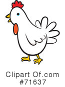 Chicken Clipart #71637 by Lal Perera