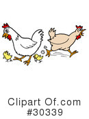 Chickens Clipart #30339 by LaffToon