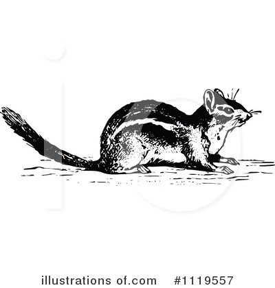 Royalty-Free (RF) Chipmunk Clipart Illustration by Prawny Vintage - Stock Sample #1119557