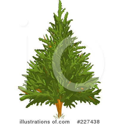 Tree Clipart #227438 by Pushkin