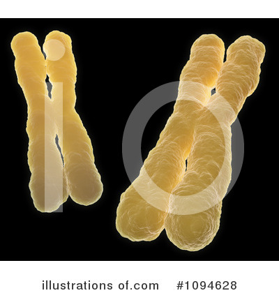 Royalty-Free (RF) Chromosome Clipart Illustration by Mopic - Stock Sample #1094628