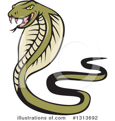 Royalty-Free (RF) Cobra Clipart Illustration by patrimonio - Stock Sample #1313692