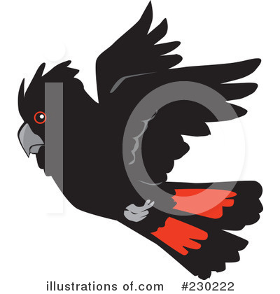 Cockatoos Clipart #230222 by Dennis Holmes Designs