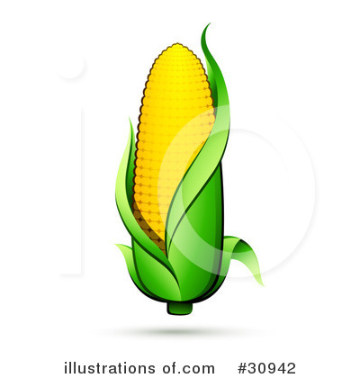 Royalty-Free (RF) Corn Clipart Illustration by beboy - Stock Sample #30942