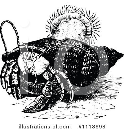 Hermit Crab Clipart #1113698 by Prawny Vintage