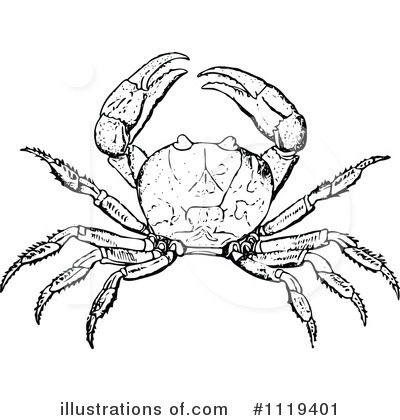Royalty-Free (RF) Crab Clipart Illustration by Prawny Vintage - Stock Sample #1119401