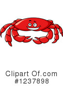 Crab Clipart #1237898 by Vector Tradition SM