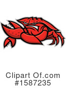 Crab Clipart #1587235 by patrimonio