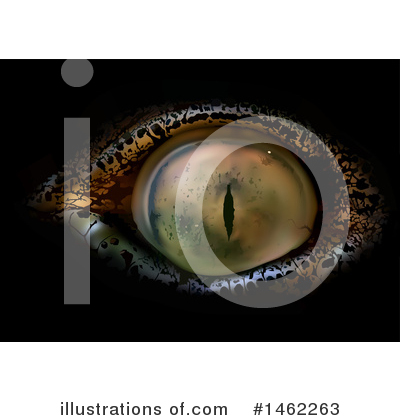 Eye Clipart #1462263 by dero