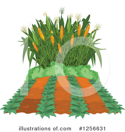 Royalty-Free (RF) Crops Clipart Illustration by Pushkin - Stock Sample #1256631