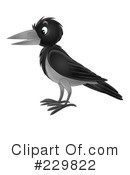 Crow Clipart #229822 by Alex Bannykh