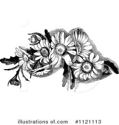 Flower Clipart #1121113 by Prawny Vintage