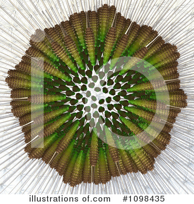 Fibonacci Sequence Clipart #1098435 by Leo Blanchette