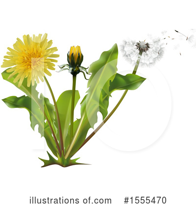 Royalty-Free (RF) Dandelion Clipart Illustration by dero - Stock Sample #1555470