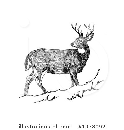 Royalty-Free (RF) Deer Clipart Illustration by JVPD - Stock Sample #1078092