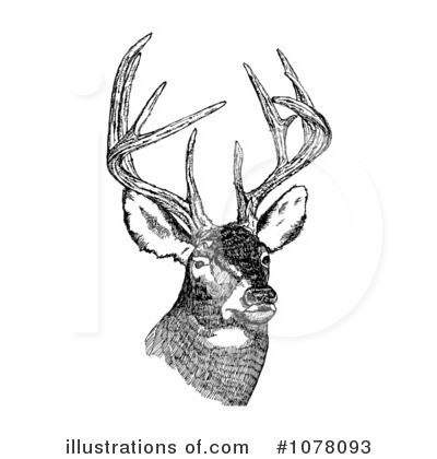 Royalty-Free (RF) Deer Clipart Illustration by JVPD - Stock Sample #1078093