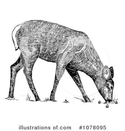 Royalty-Free (RF) Deer Clipart Illustration by JVPD - Stock Sample #1078095