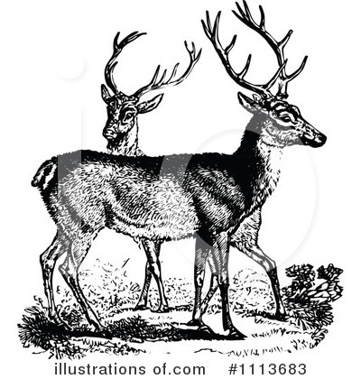 Royalty-Free (RF) Deer Clipart Illustration by Prawny Vintage - Stock Sample #1113683