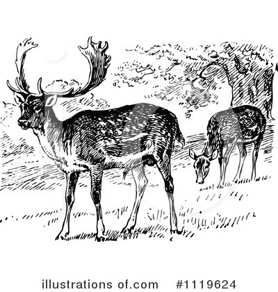 Royalty-Free (RF) Deer Clipart Illustration by Prawny Vintage - Stock Sample #1119624