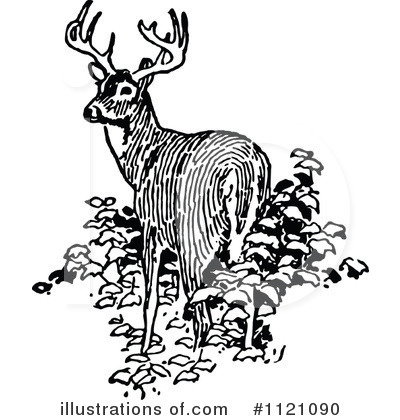 Royalty-Free (RF) Deer Clipart Illustration by Prawny Vintage - Stock Sample #1121090