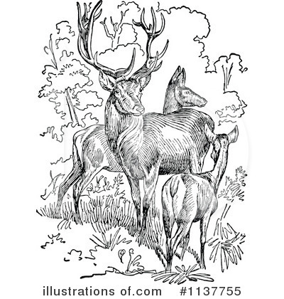 Royalty-Free (RF) Deer Clipart Illustration by Prawny Vintage - Stock Sample #1137755