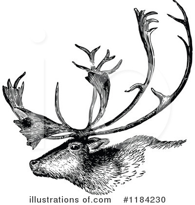 Royalty-Free (RF) Deer Clipart Illustration by Prawny Vintage - Stock Sample #1184230