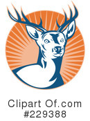 Deer Clipart #229388 by patrimonio