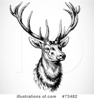 Deer Clipart #73482 by BestVector