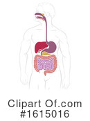 Digestion Clipart #1615016 by AtStockIllustration