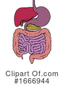 Digestion Clipart #1666944 by AtStockIllustration
