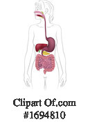 Digestion Clipart #1694810 by AtStockIllustration