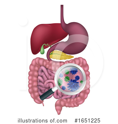 Digestion Clipart #1651225 by AtStockIllustration
