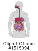 Digestive Tract Clipart #1515094 by AtStockIllustration