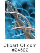 Dna Clipart #24622 by KJ Pargeter
