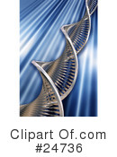 Dna Clipart #24736 by KJ Pargeter
