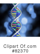 Dna Clipart #82370 by KJ Pargeter