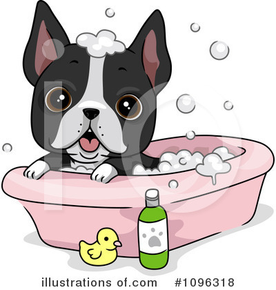Boston Terrier Clipart #1096318 by BNP Design Studio