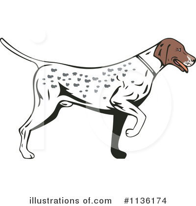 Pointer Dog Clipart #1136174 by patrimonio