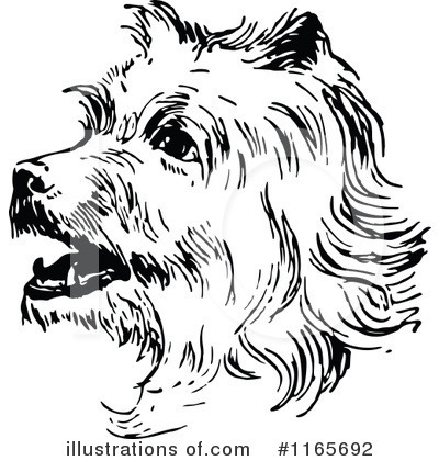Terrier Clipart #1165692 by Prawny Vintage