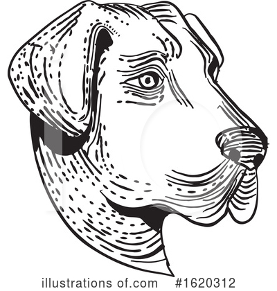 Royalty-Free (RF) Dog Clipart Illustration by patrimonio - Stock Sample #1620312