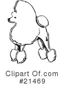 Dogs Clipart #21469 by David Rey