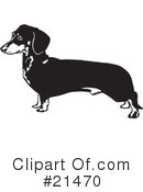 Dogs Clipart #21470 by David Rey