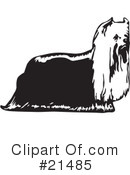 Dogs Clipart #21485 by David Rey